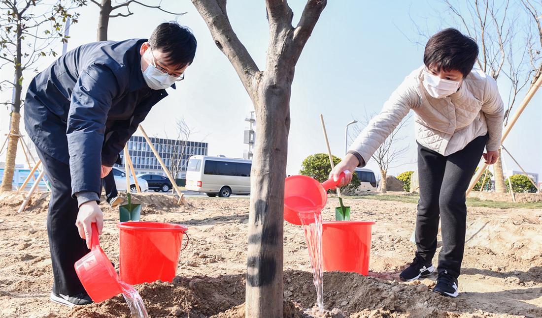 市领导到高铁商务区参加义务植树