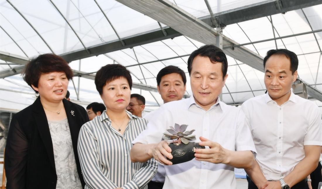 省领导来淮调研