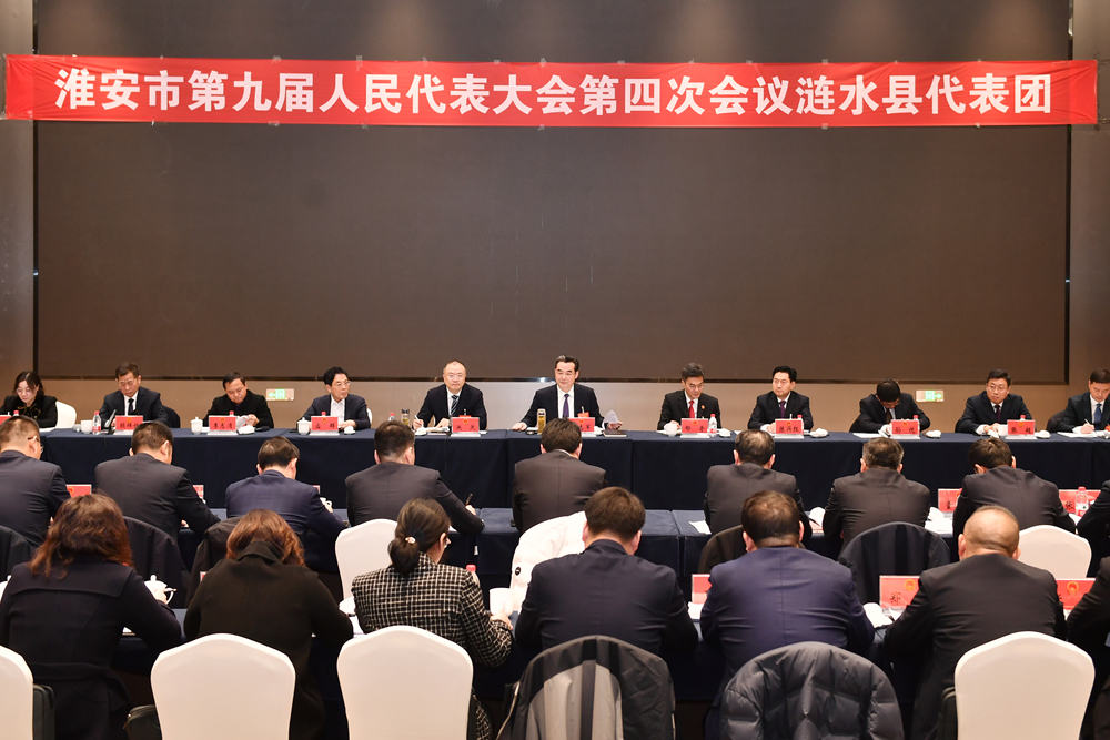 史志军参加涟水县代表团审议