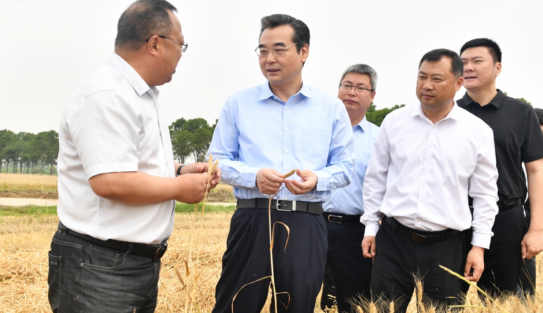 市领导调研夏收夏种工作
