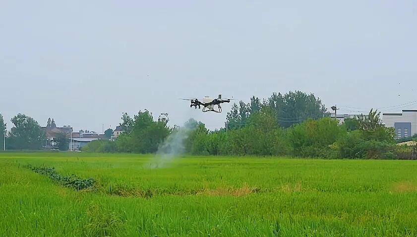 微信图片_20260922105134_4040_10.jpg