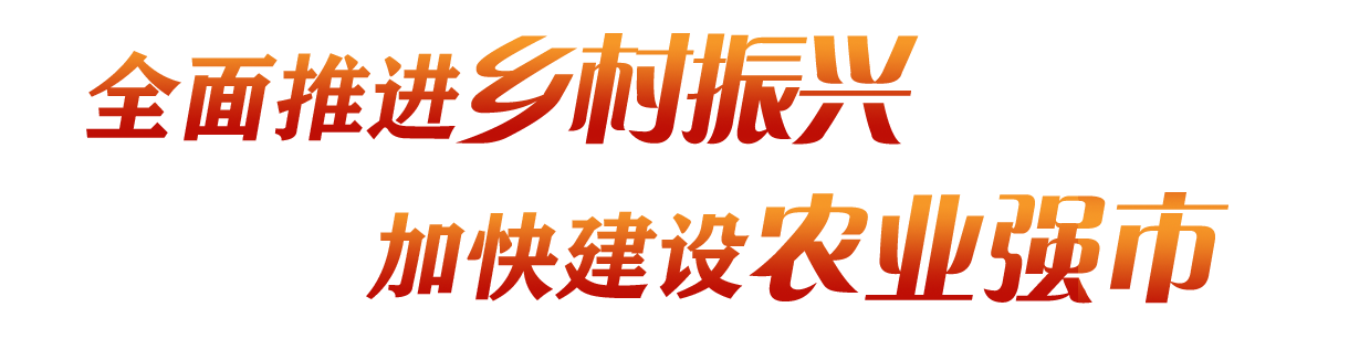 全面推进乡村振兴 加快建设农业强市