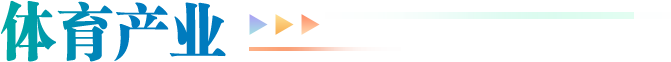 体育产业