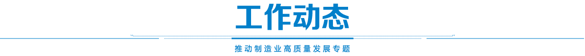 工作动态