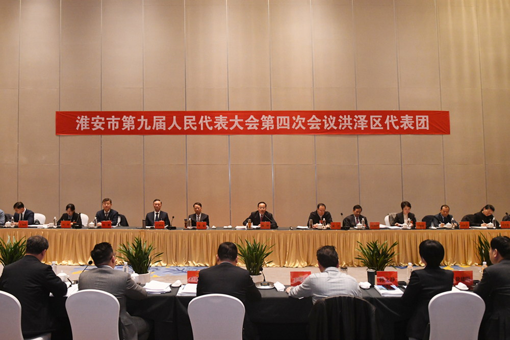 顾坤参加洪泽区代表团审议