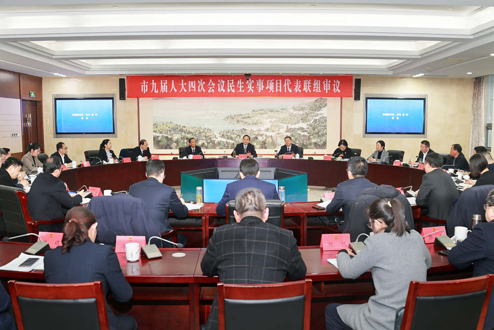 市九届人大四次会议举行民生实事项目代表联组审议