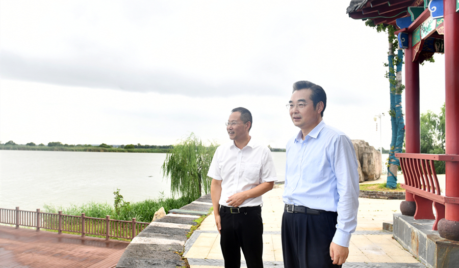 市领导调研生态环境保护督察问题整改情况