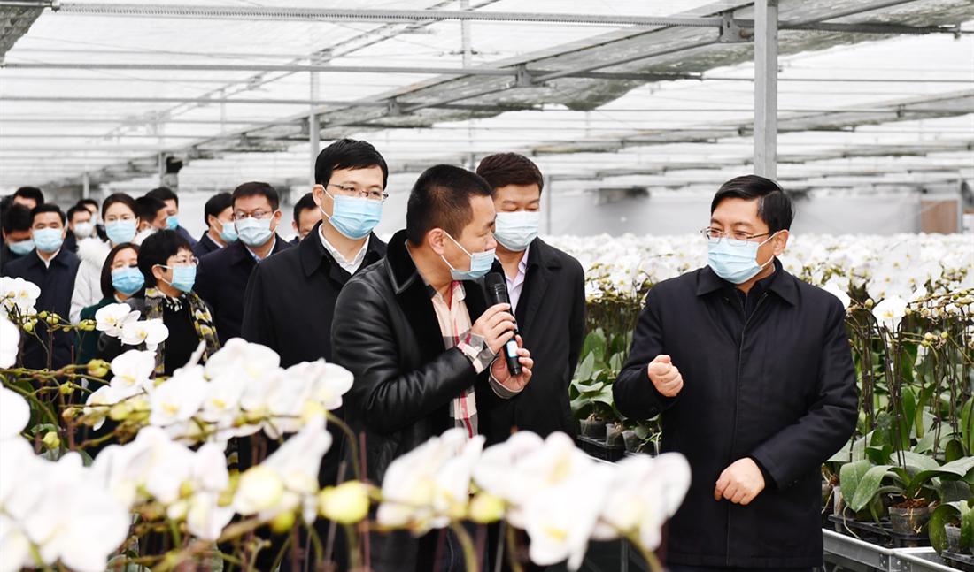 省委副书记张敬华来淮调研"三农"工作