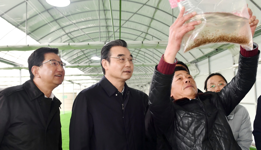 市领导到盱眙县调研