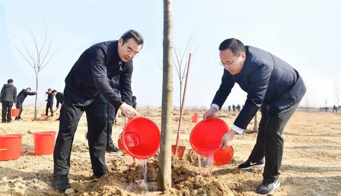 市领导参加义务植树活动